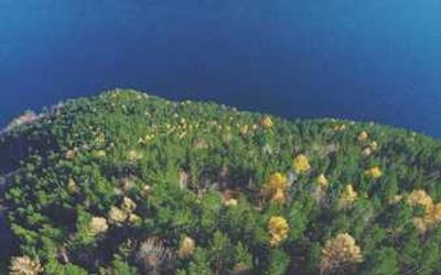 Industrial Park Development