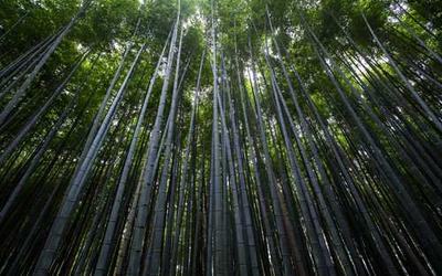 Hotel & Conference Center